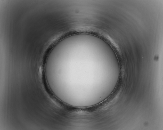 X0000103230637200808280951