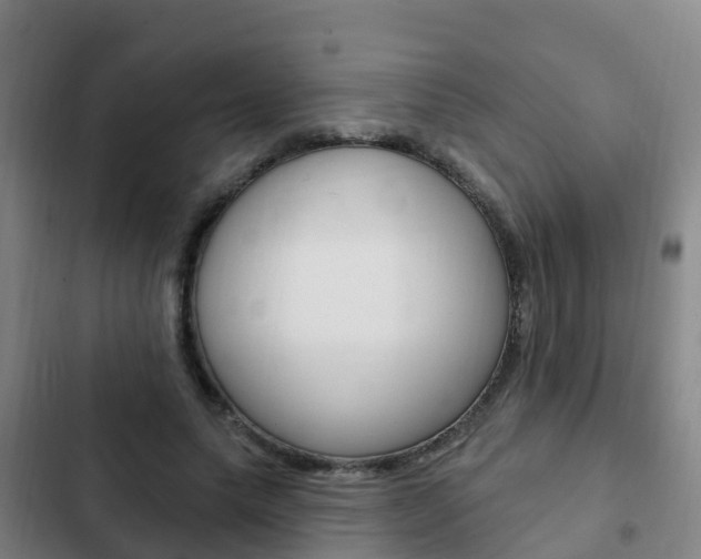 X0000103230639200808280951