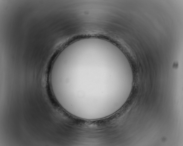 X0000103230640200808280951