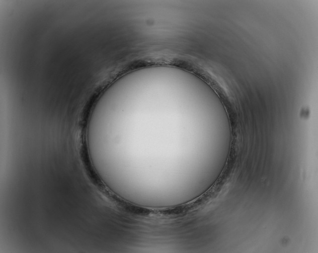 X0000103230641200808280951