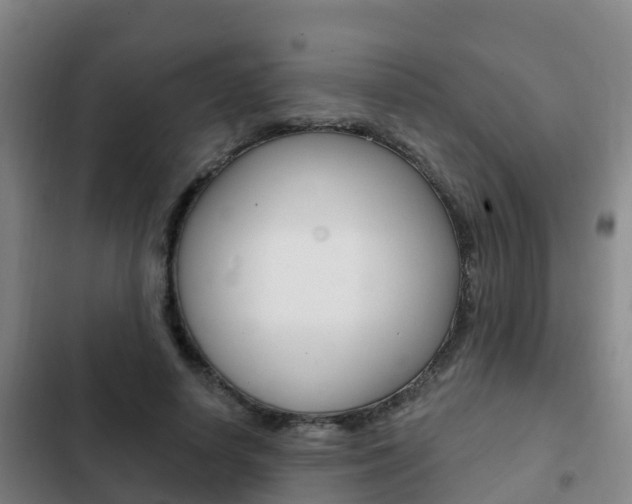 X0000103230642200808280951