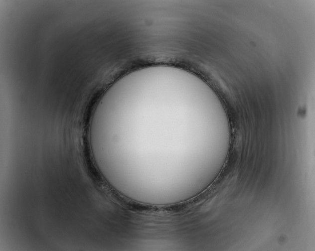 X0000103230643200808280951