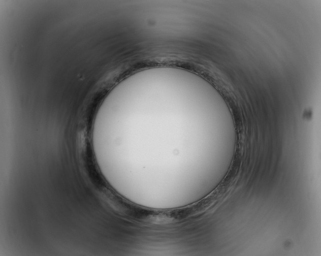 X0000103230644200808280951
