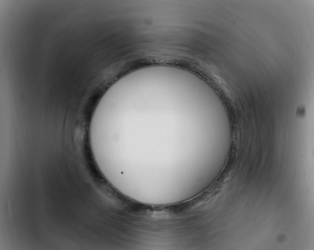X0000103230645200808280951