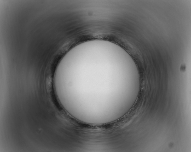 X0000103230646200808280951
