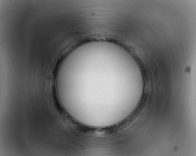 X0000103230647200808280951