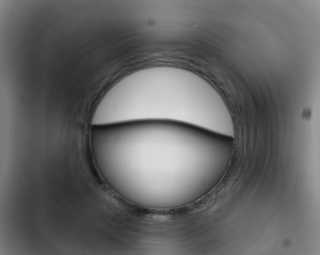 X0000103230649200808280951