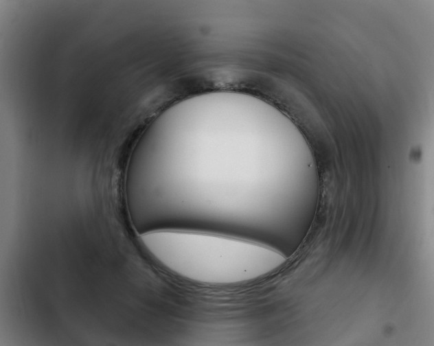 X0000103230650200808280951