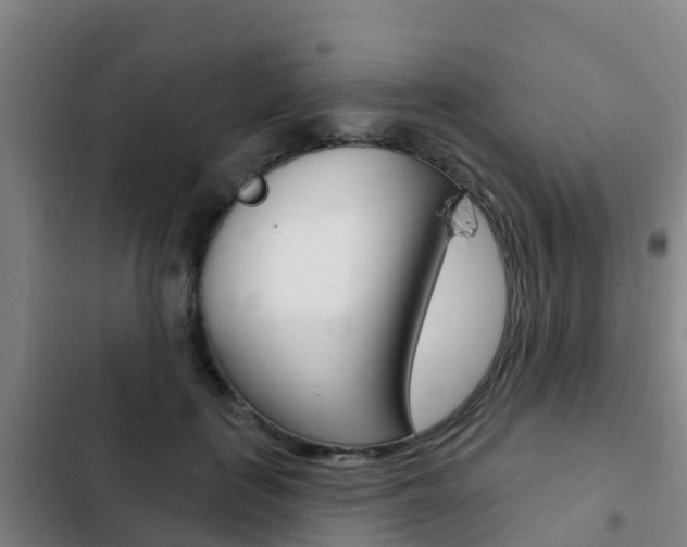 X0000103230651200808280951