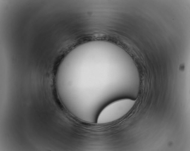 X0000103230654200808280951