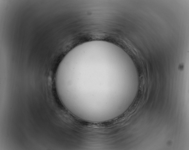 X0000103230655200808280951