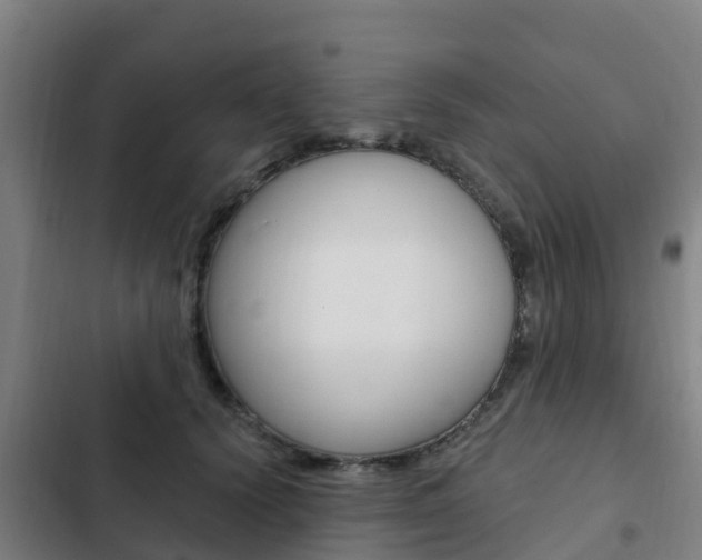 X0000103230656200808280951
