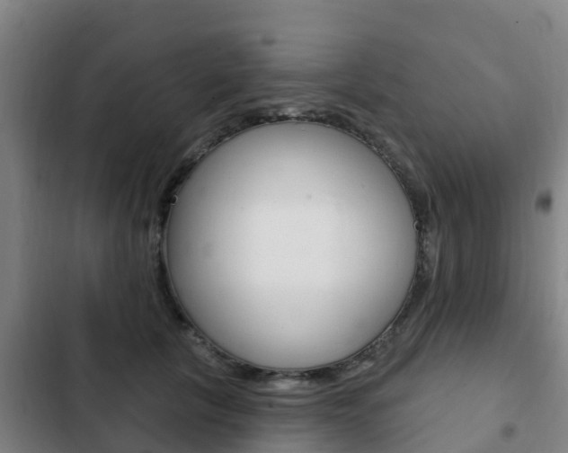 X0000103230657200808280951