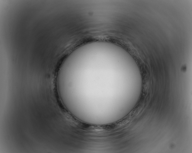 X0000103230658200808280951