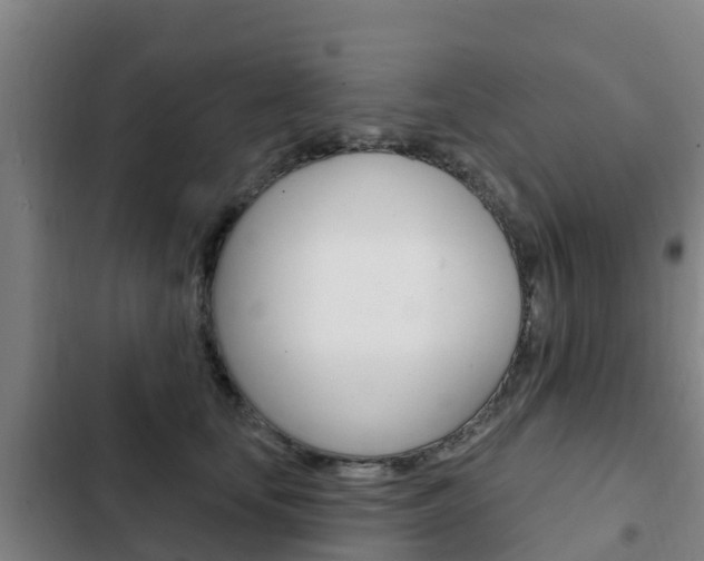 X0000103230659200808280951