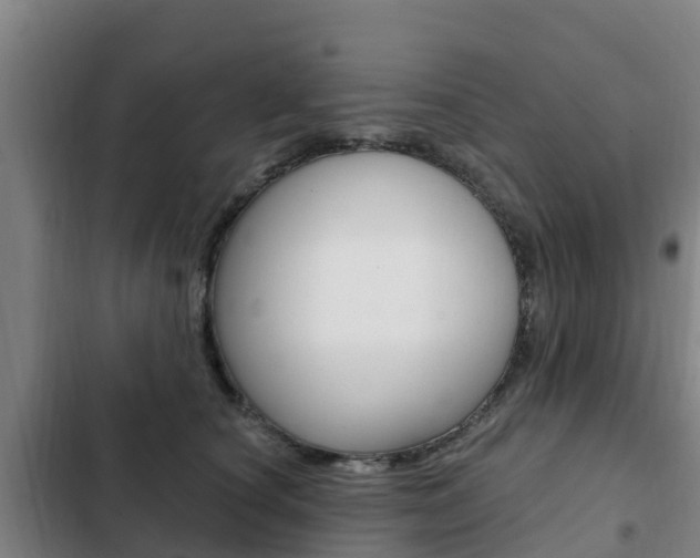 X0000103230660200808280951