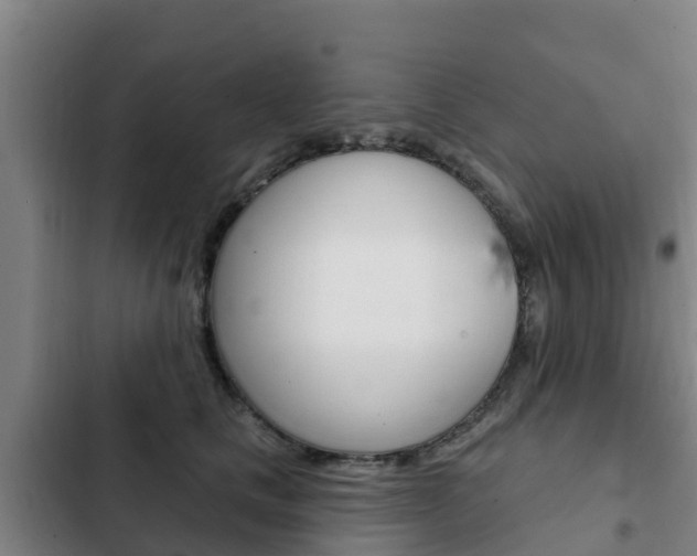 X0000103230661200808280951