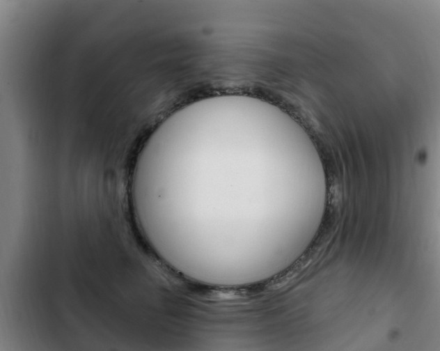 X0000103230662200808280951