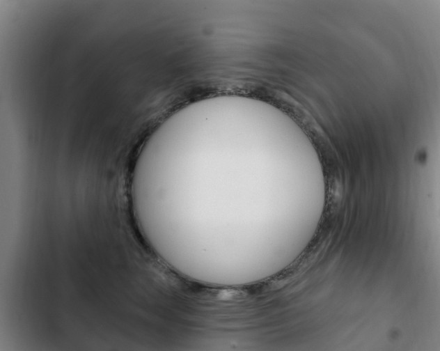 X0000103230663200808280951