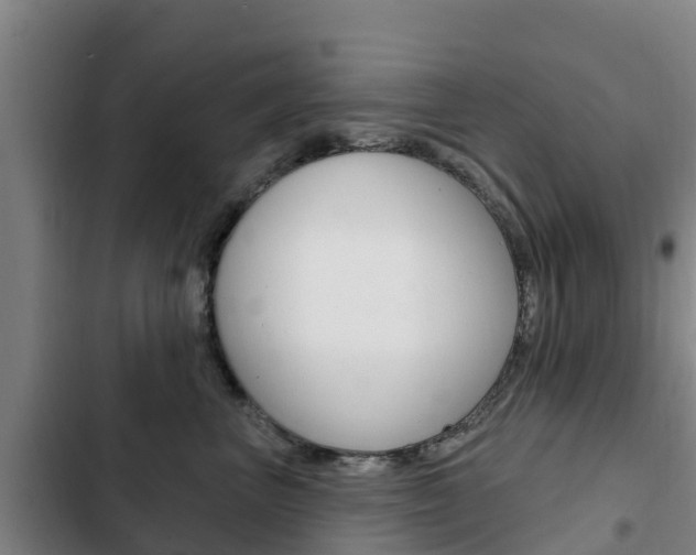 X0000103230667200808280951