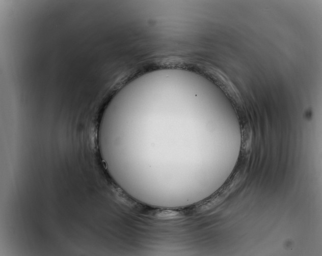 X0000103230669200808280951