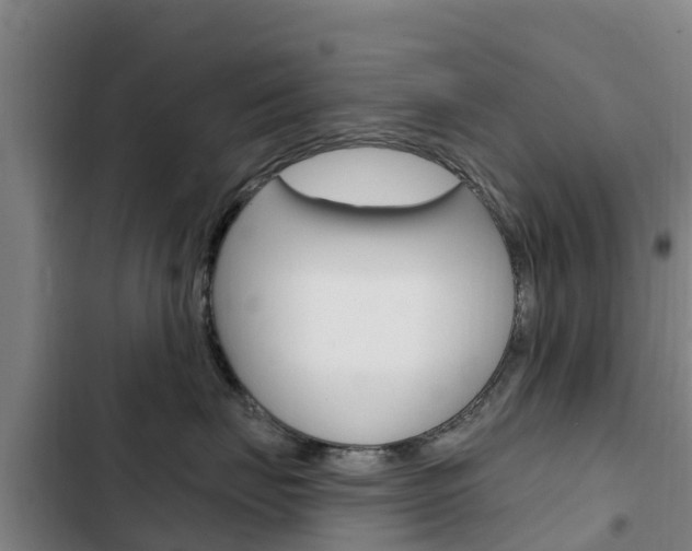X0000103230671200808280951