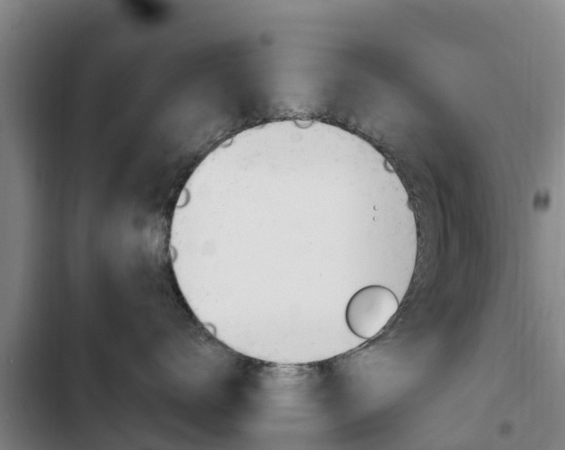 X0000103230672200808280951