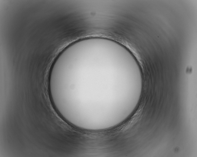 X0000103230673200808280951