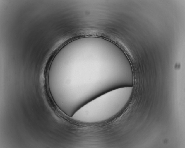 X0000103230674200808280951