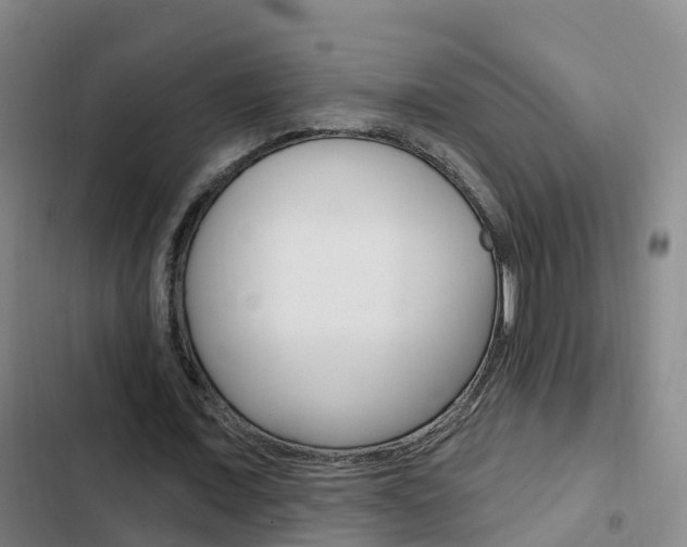 X0000103230675200808280951
