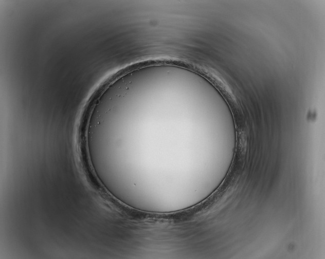 X0000103230676200808280951