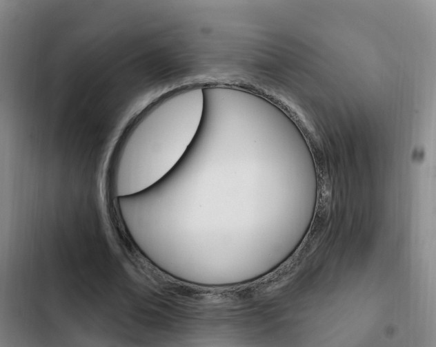 X0000103230678200808280951