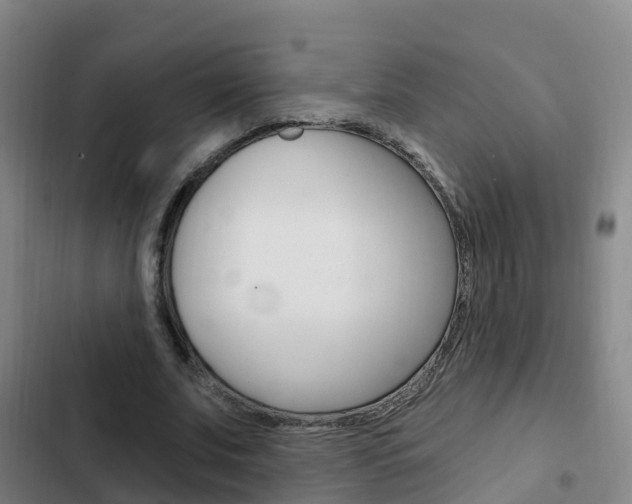 X0000103230679200808280951