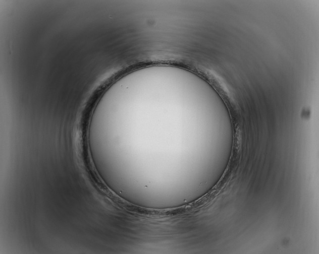 X0000103230684200808280951
