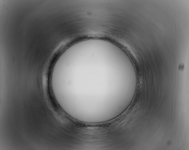X0000103230686200808280951