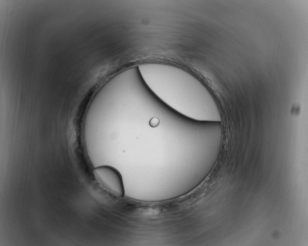 X0000103230687200808280950