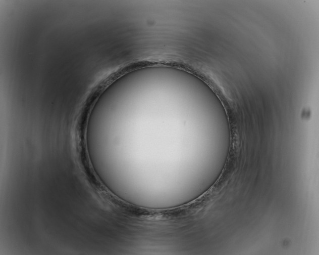 X0000103230688200808280950
