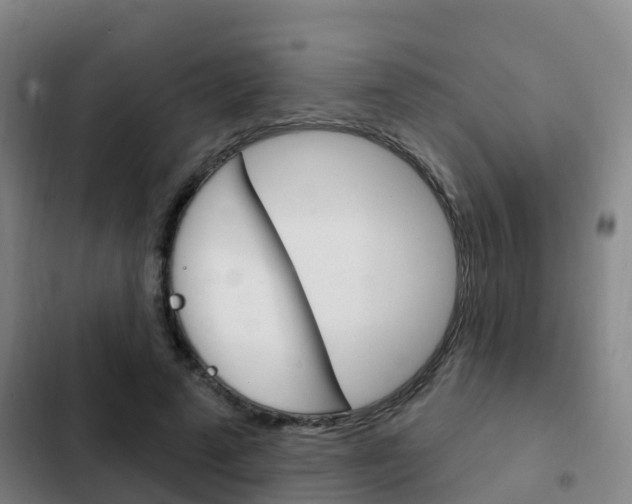 X0000103230689200808280950
