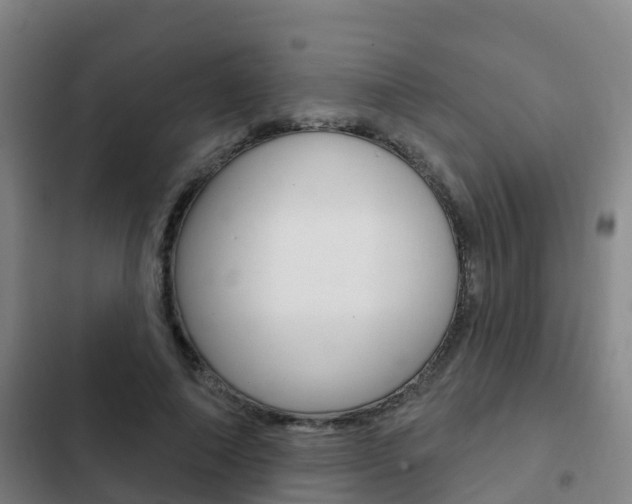 X0000103230690200808280950