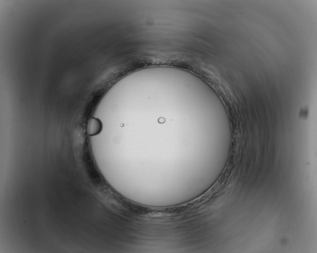 X0000103230691200808280950