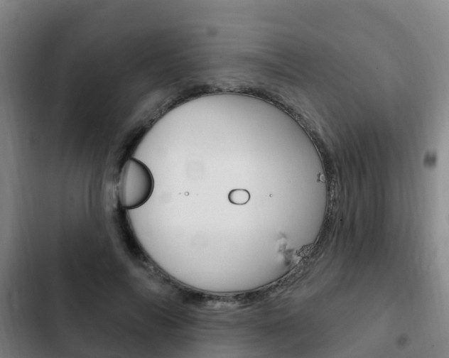 X0000103230694200808280950