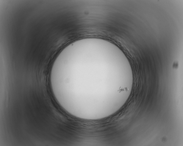 X0000103230695200808280950