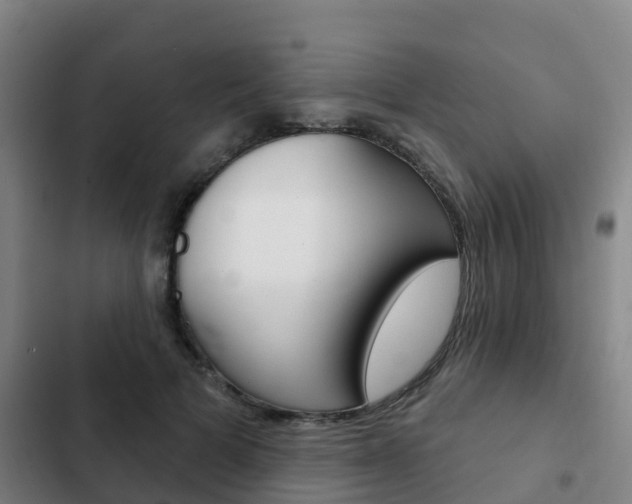 X0000103230697200808280950