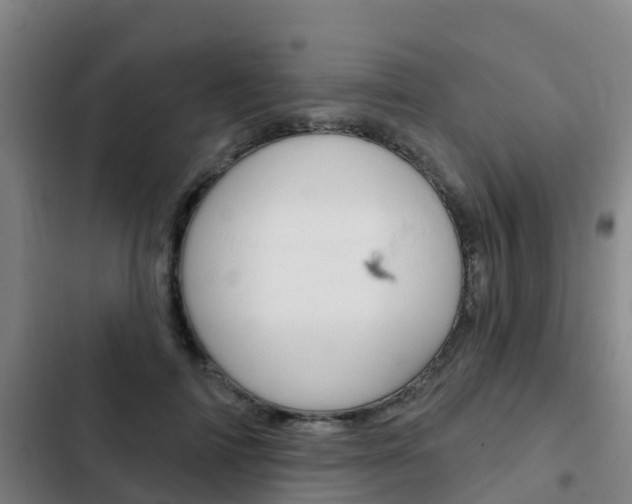 X0000103230698200808280950