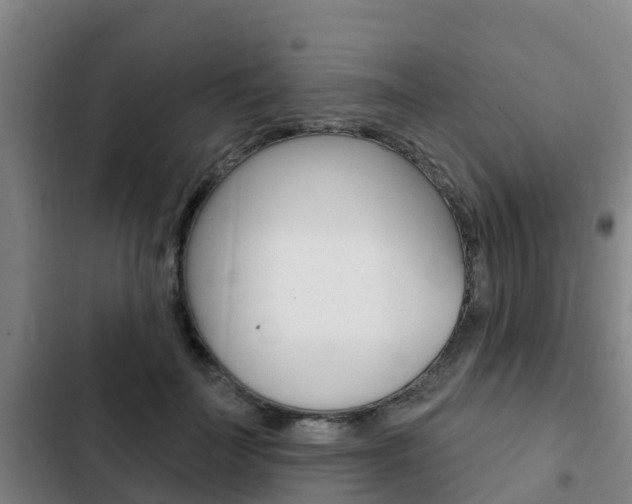 X0000103230699200808280950