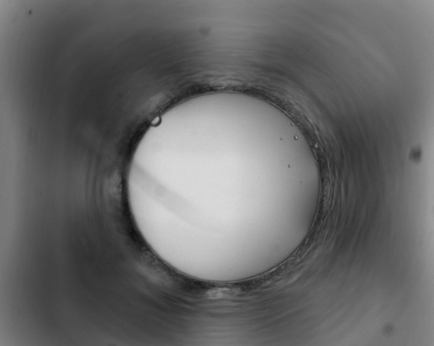 X0000103230700200808280950