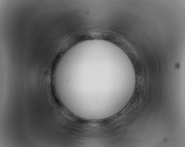 X0000103230702200808280950