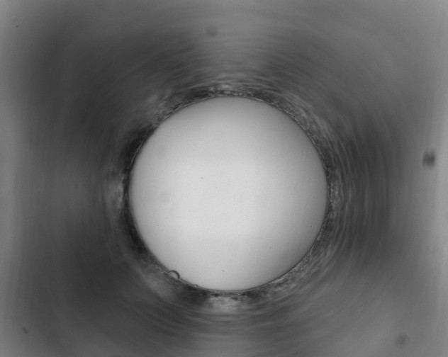 X0000103230703200808280950