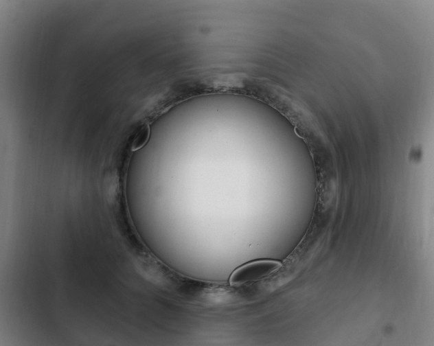 X0000103230704200808280950