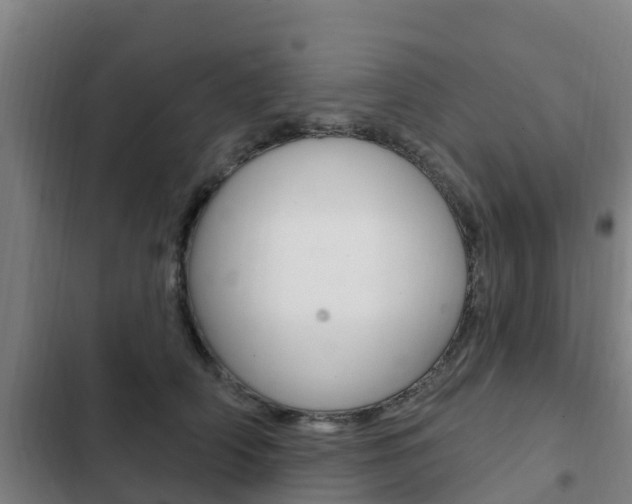 X0000103230706200808280950